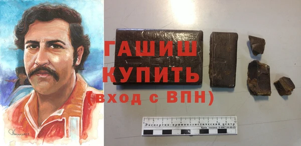 гашик Алексин