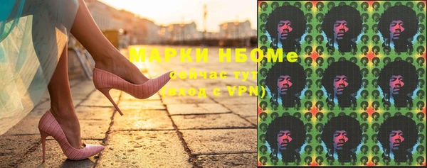 гашик Алексин