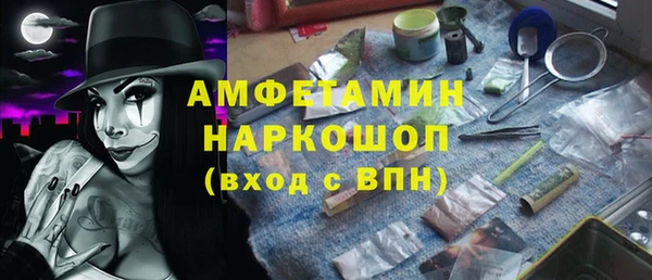 гашик Алексин