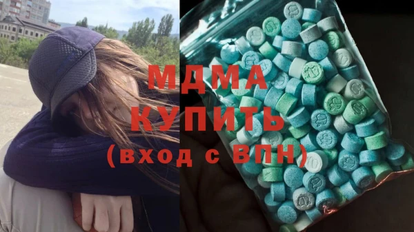 гашик Алексин
