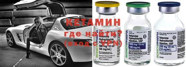 гашик Алексин