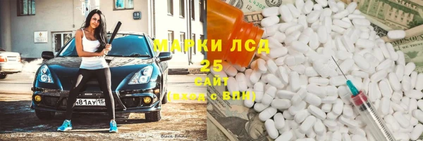 гашик Алексин