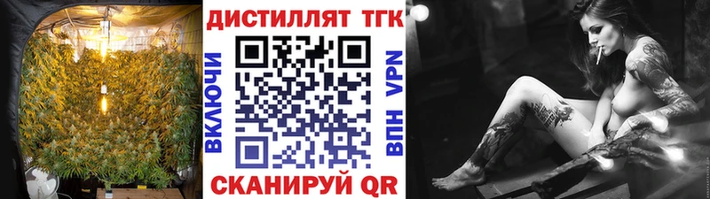 как найти закладки Осташков ТГК Wax
