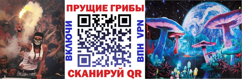 наркотики  Осташков  Псилоцибиновые грибы Magic Shrooms 